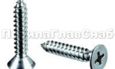 (DIN 7982.A2) Саморез 3,9х25 пот. гол. нерж. под крест М-3215 купить в Тюмени