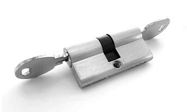 Личинка латунная 30х30мм для замка t155 ключ-ключ t155-101 SSS купить в Тюмени